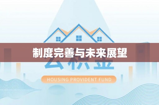 万华制度完善与未来展望